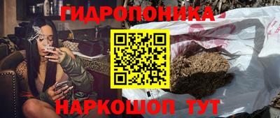 гидра Татарск