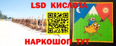гидропоника Тверь