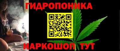 гидра Татарск