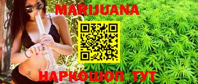 гидра Татарск