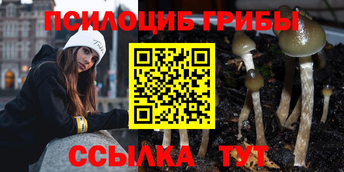 Саратов  Псилоцибиновые грибы GOLDEN TEACHER  Вход с VPN 